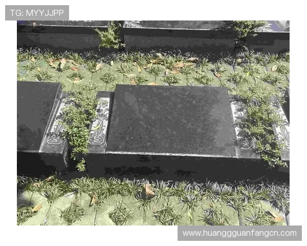 皇冠现金开户流程详解，轻松开启您的线上娱乐新体验