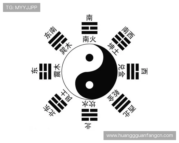 最新皇冠hga030会员登录方法解析，帮助新手用户快速上手登录技巧