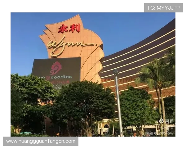 澳门十大娱乐网站排名前十，提供丰富游戏选择和优质服务的优质平台