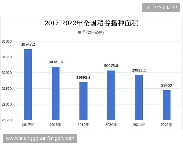 墨西哥与南非在世界杯中的出线形势分析：晋级概率与未来走势预测